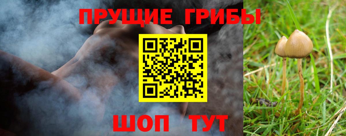 Галлюциногенные грибы мухоморы Курчалой